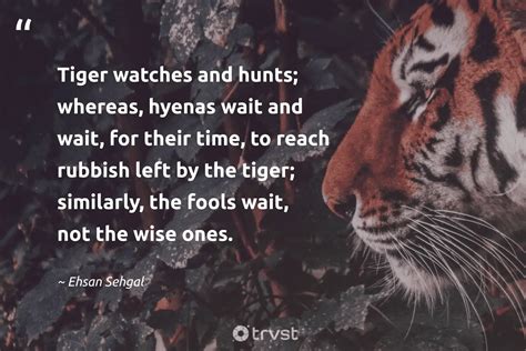 tears of a tiger quotes